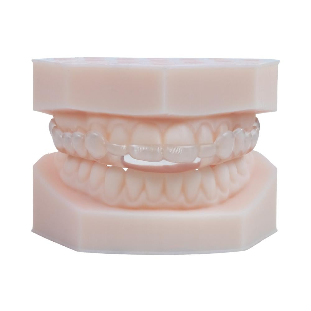 AccuGUARD appliance on upper and lower model in standard occlusion 