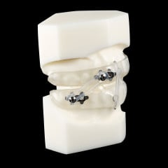 Medley Rigid Nylon Links Sleep Appliance