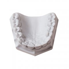 Whip Mix Orthodontic Stone - Super White (33lb/15kg)