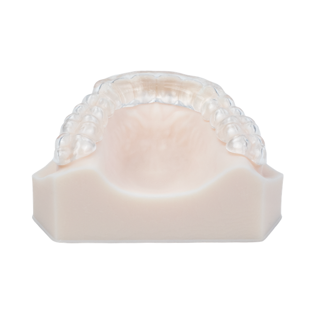 AccuGUARD deprogrammer appliance on upper model with occlusal side facing up, reverse side
