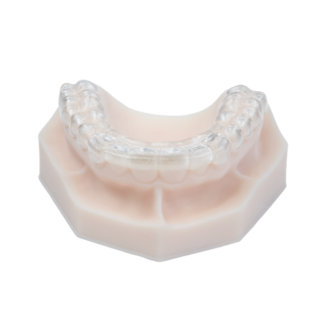 AccuGUARD deprogrammer appliance on upper model with occlusal side facing up, straight on