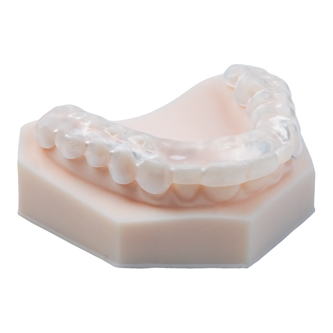 AccuGUARD appliance on upper model with occlusal side facing up, angled